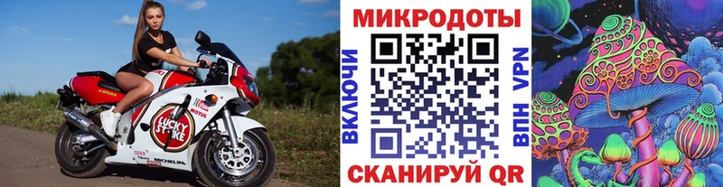 Псилоцибиновые грибы Cubensis  Купить  Горячий Ключ 